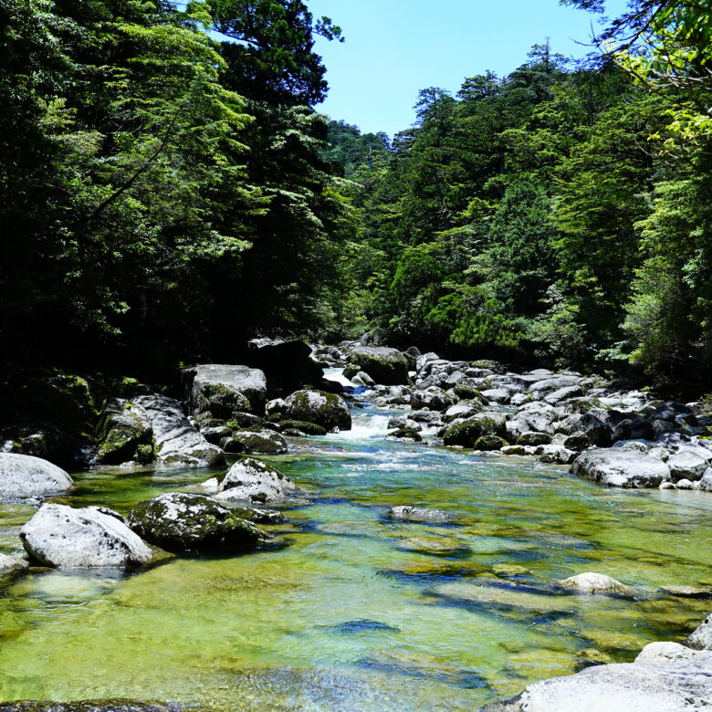 ２日間で満喫！屋久島まるごとエコツアーの画像