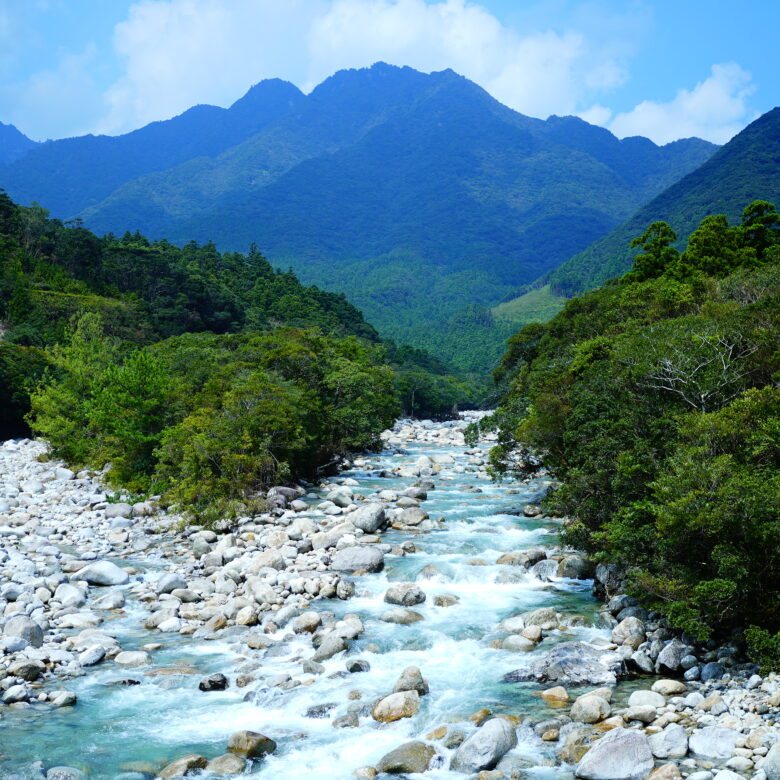 ２日間で満喫！屋久島まるごとエコツアーの画像